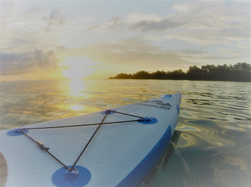 Stand up paddle board at sunset Zanzibar